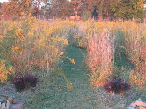 Jubilee Farm Labyrinth