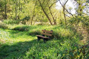 Jubilee Farm Path, Summer