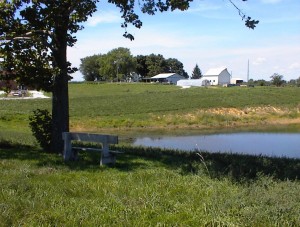 Jubilee Farm Scenery 12